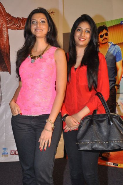 Bhai-Triple-Platinum-Disc-Function